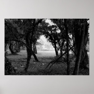 Affiche La Clairière - Forêt en noir et blanc