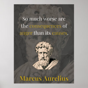Affiche La colère vous nuit le plus : Marc Aurèle sur la r