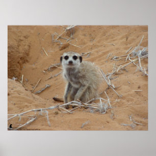 Affiche La collection Fluffernutter - Sourire