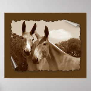 Affiche La conversation