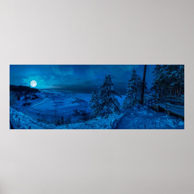 Affiche La côte maritime d'hiver au clair de lune (Devant)