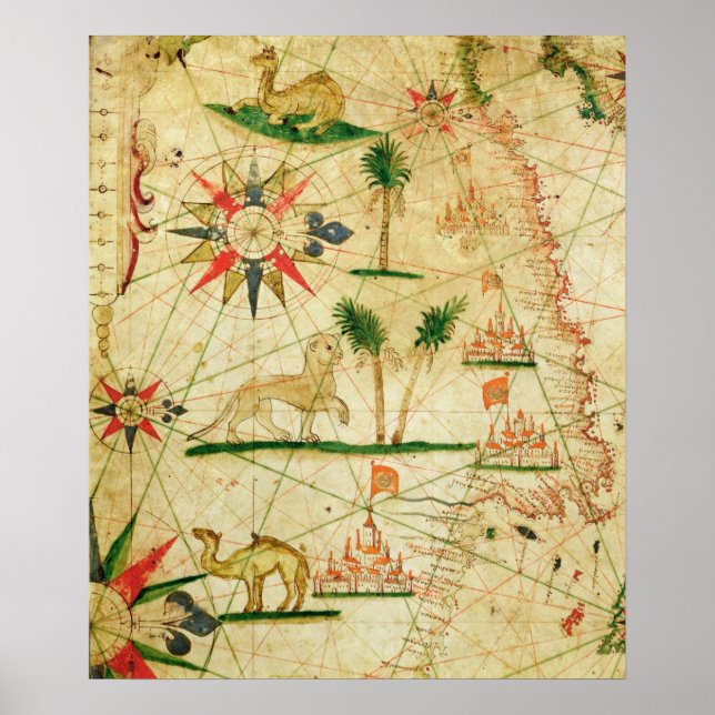 Affiche La Côte Nord de l'Afrique (Devant)