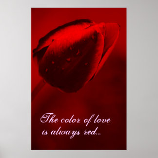 Affiche La couleur de l'affiche d'amour