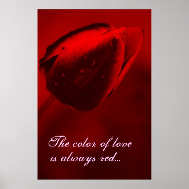 Affiche La couleur de l'affiche d'amour (Devant)