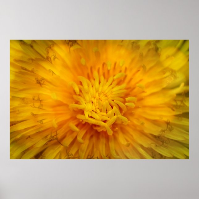 Affiche La couleur jaune (Devant)
