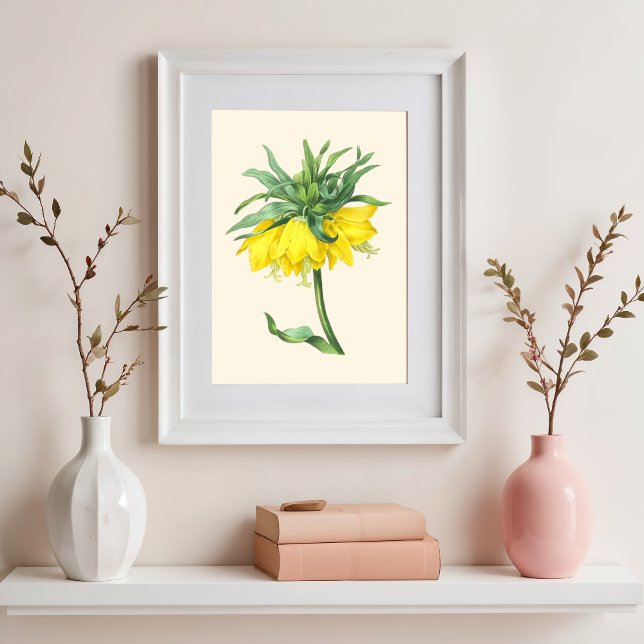 Affiche La couronne impériale, illustration botanique Vint (Créateur téléchargé)