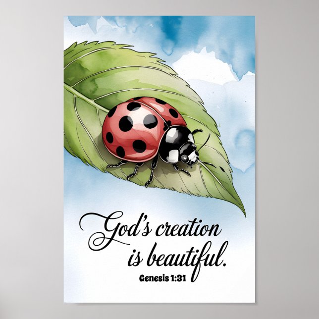 Affiche La création de Dieu est belle pour les enfants de  (Devant)