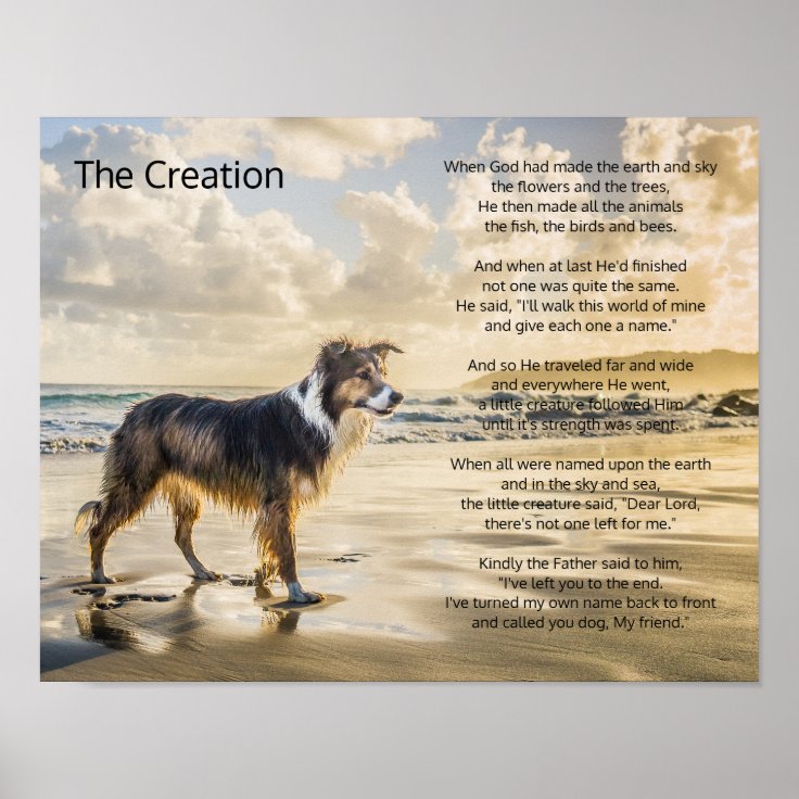 Affiche La Creation De La Vie Et Du Poeme Du Chien Zazzle Fr