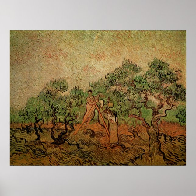 Affiche La Cueillette des olives par Vincent van Gogh (Devant)