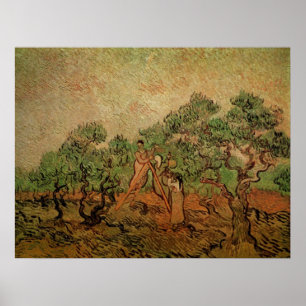 Affiche La cueillette d'olives par Vincent van Gogh