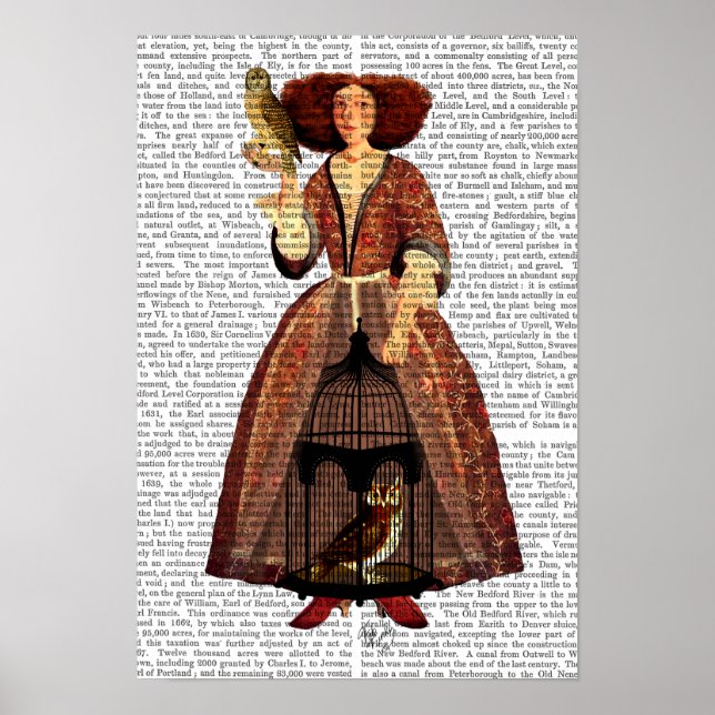 Affiche La Dame des Chouettes (Devant)