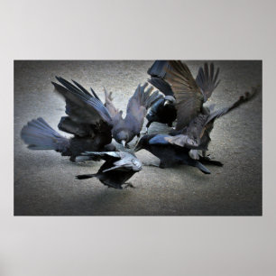 Affiche La danse des corbeaux