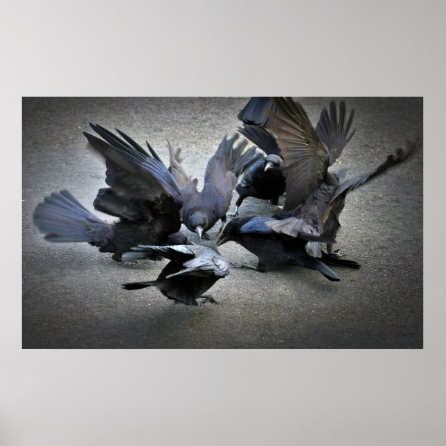 Affiche La danse des corbeaux (Devant)