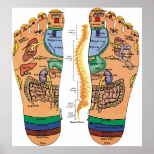 Affiche La digitopuncture dirige le diagramme de pression