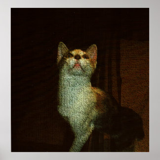 Affiche La Douce Belle