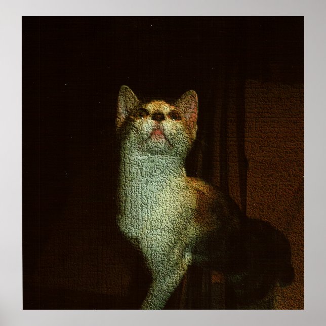 Affiche La Douce Belle (Devant)