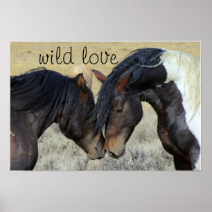 AFFICHE LA FEMME AIME LES CHEVAUX