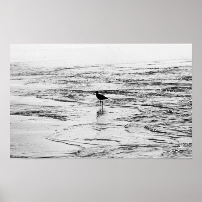 Affiche La fin des vagues (Devant)