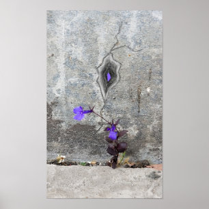 Affiche La fissure dans le mur