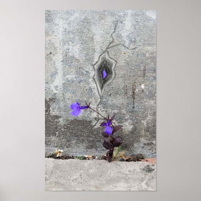 Affiche La fissure dans le mur (Devant)