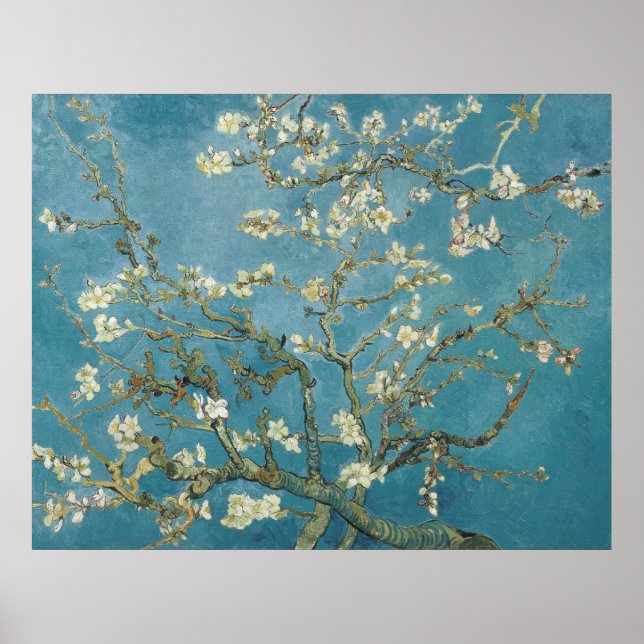 Affiche La fleur d'amandes de Van Gogh (Devant)