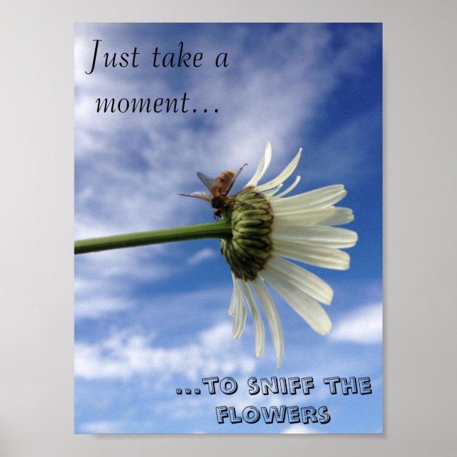 Affiche La fleur des abeilles (Devant)