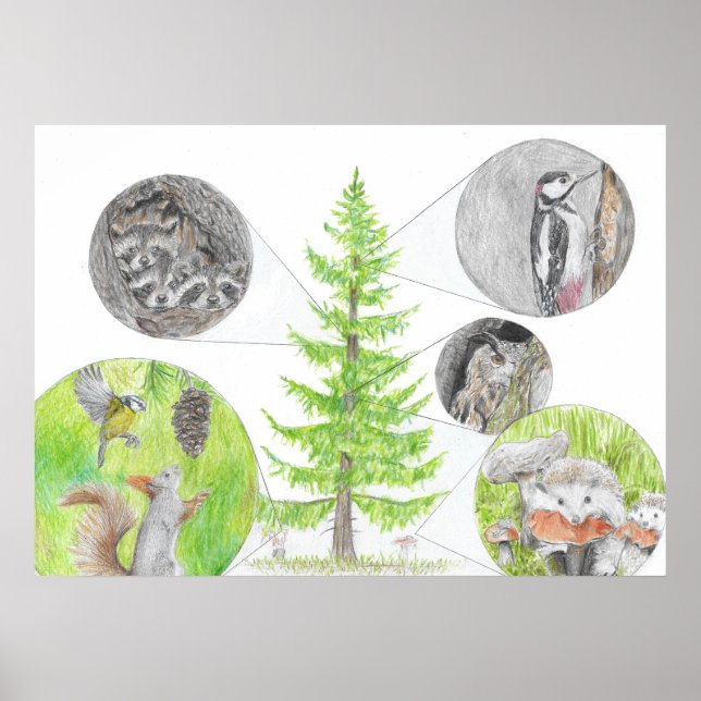 Affiche La flore et la faune (Devant)