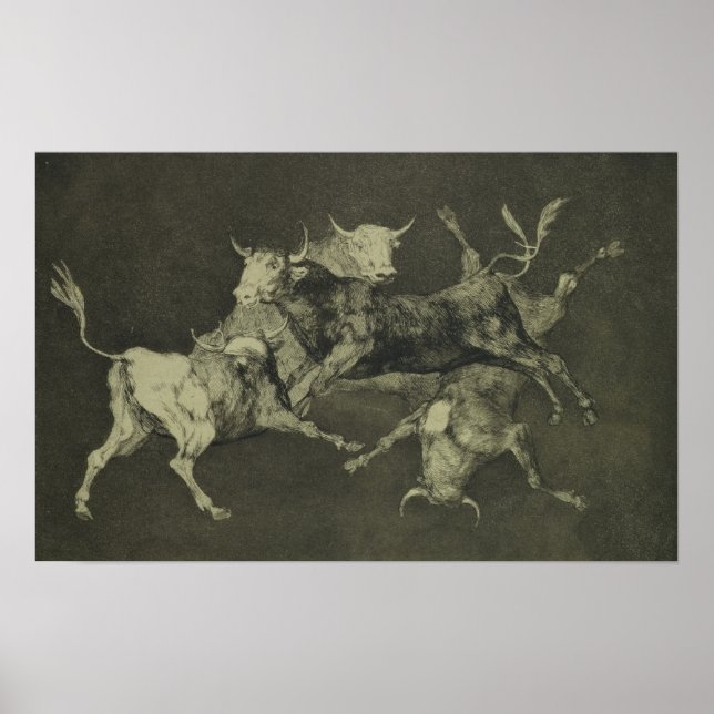 Affiche La folie des taureaux (Devant)