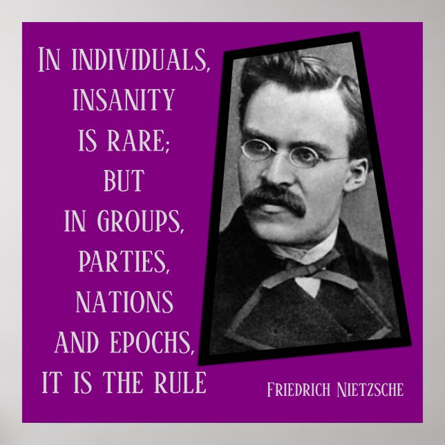 Affiche La folie est la règle Nietzche (Devant)