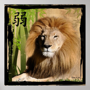 Affiche La force de Christin