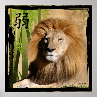 Affiche La force de Christin