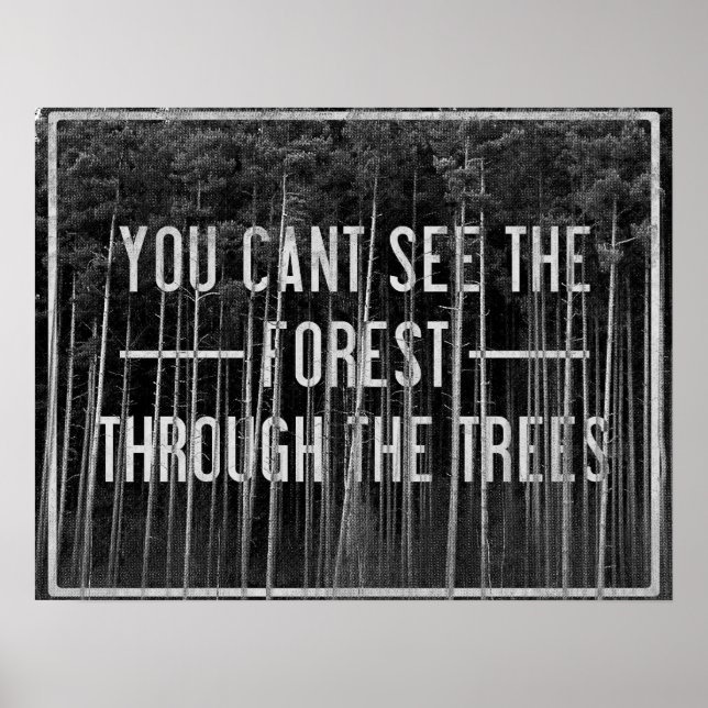 Affiche La forêt (Devant)