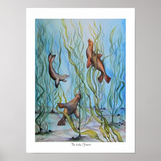 Affiche La forêt de Kelp (Devant)