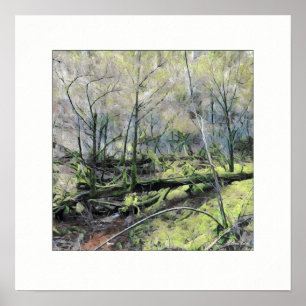 Affiche La forêt de Mossy