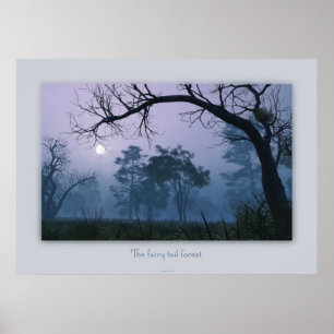 Affiche La forêt de queue de fée