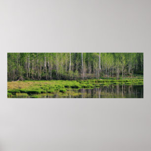 Affiche La forêt d'Emeraude