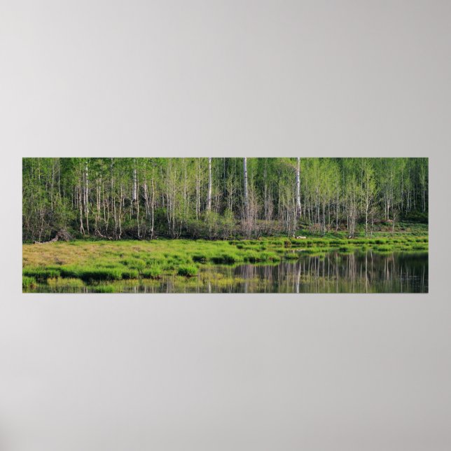 Affiche La forêt d'Emeraude (Devant)