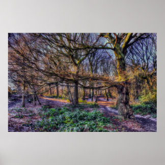 Affiche La forêt enchantée 1