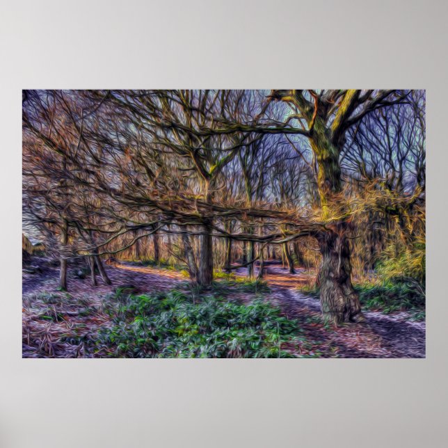 Affiche La forêt enchantée 1 (Devant)