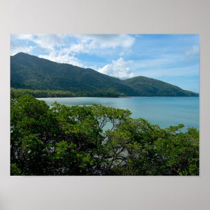 Affiche La forêt pluviale de Daintree au Cap Tribulation