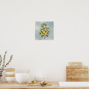Affiche La générosité du printemps : la floraison du citro