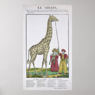 Affiche La girafe présentée au roi