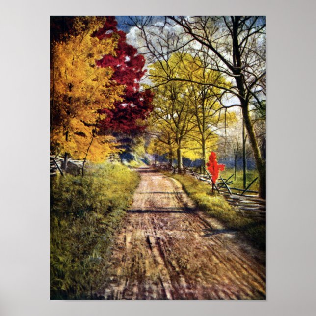 Affiche La gloire des arbres d'automne (Devant)