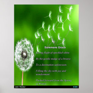 Affiche La grâce de l'été