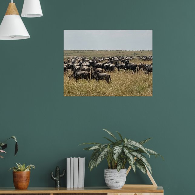 Affiche La Grande Migration – Photo de Wildebeest Africain (Salon 1)
