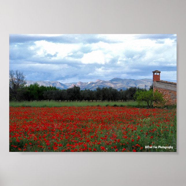 Affiche La grange de campagne dans le champ de coquelicots (Devant)