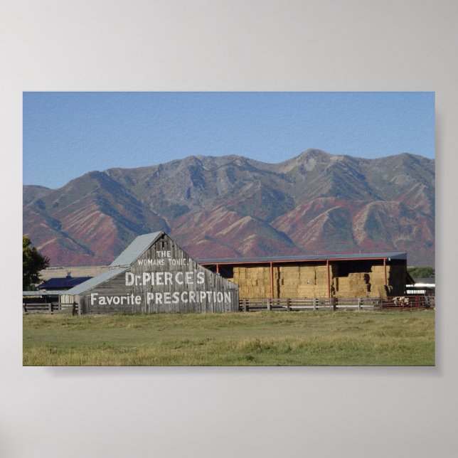 Affiche La grange du Dr Pierce (Devant)