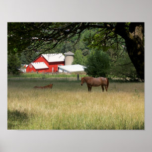 Affiche La Grange Rouge Et Les Chevaux