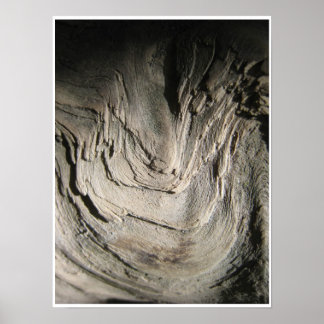 Affiche La Grove des Patriarches