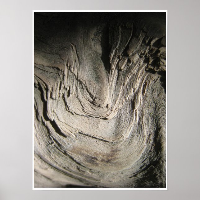 Affiche La Grove des Patriarches (Devant)